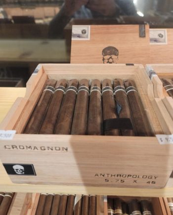 RoMa Craft CroMagnon Anthropology Single